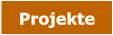 Projekte