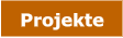 Projekte